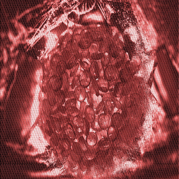 Patterned Red Rug, pat109rd