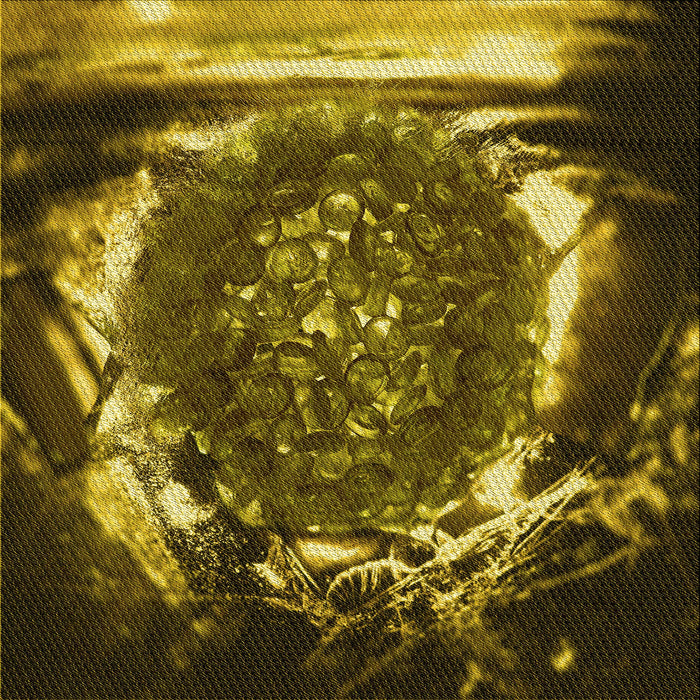 Round Machine Washable Transitional Caramel Brown Rug, wshpat109yw