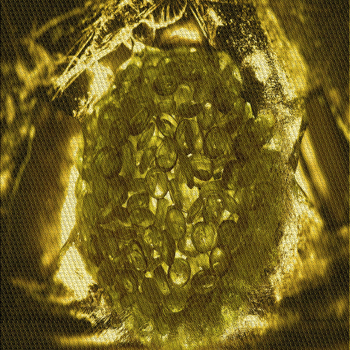 Machine Washable Transitional Caramel Brown Rug, wshpat109yw