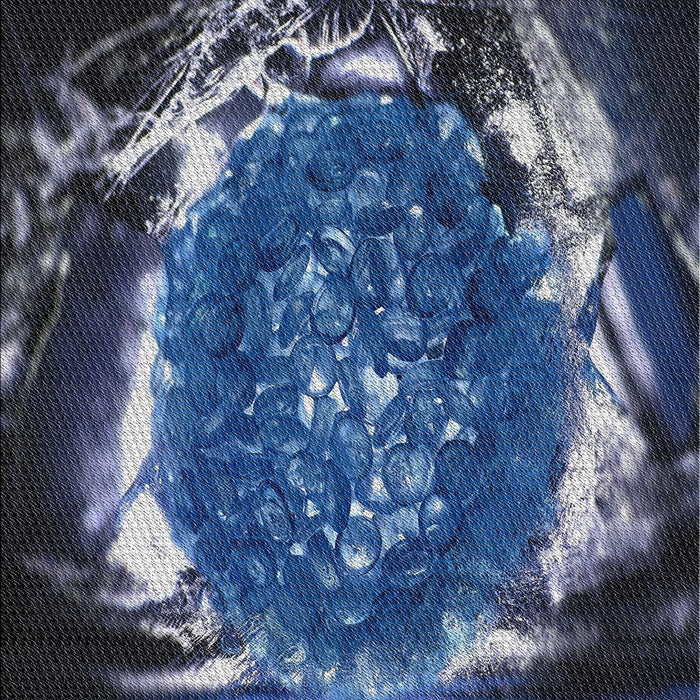 Machine Washable Transitional Night Blue Rug, wshpat109