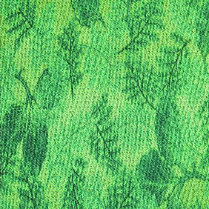 Machine Washable Transitional Neon Green Rug, wshpat1101grn