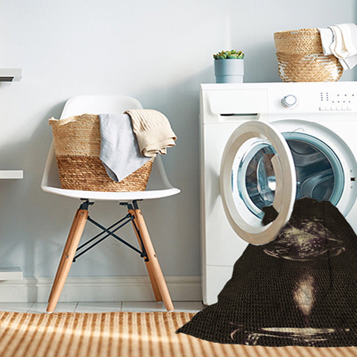 Machine Washable Transitional Black Rug in a Washing Machine, wshpat111brn