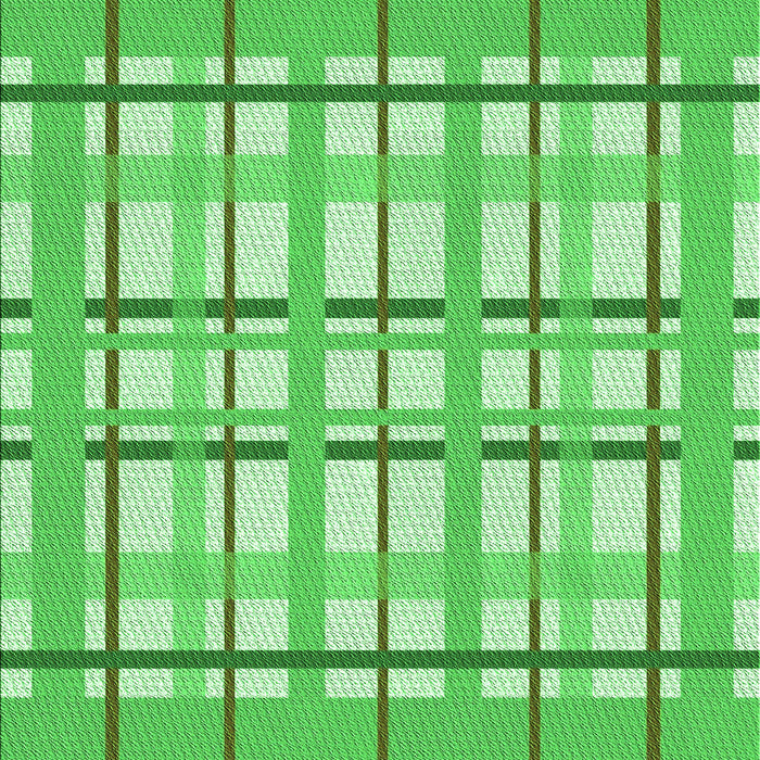 Machine Washable Transitional Green Rug, wshpat1110grn