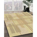 Machine Washable Transitional Metallic Gold Rug in a Family Room, wshpat1125brn