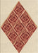 Patterned Red Rug, pat1126brn