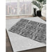 Machine Washable Transitional Platinum Gray Rug in a Family Room, wshpat1126gry