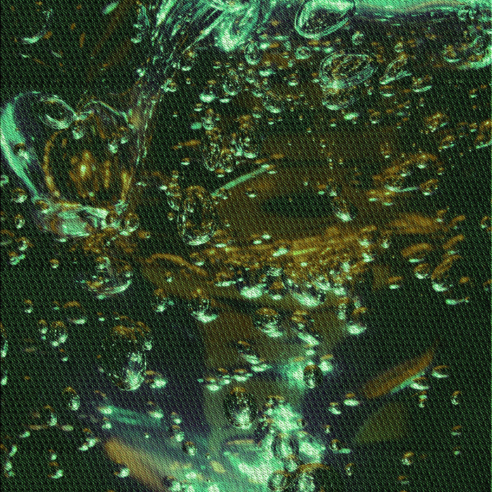 Machine Washable Transitional Black Rug, wshpat113grn