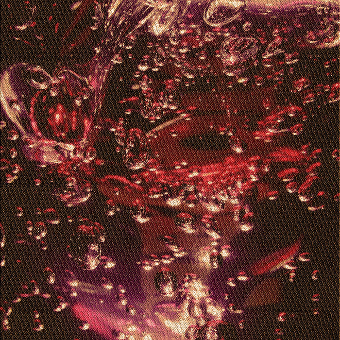 Machine Washable Transitional Red Rug, wshpat113org