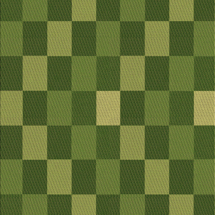 Machine Washable Transitional Green Rug, wshpat1133brn