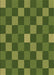 Patterned Green Rug, pat1133brn