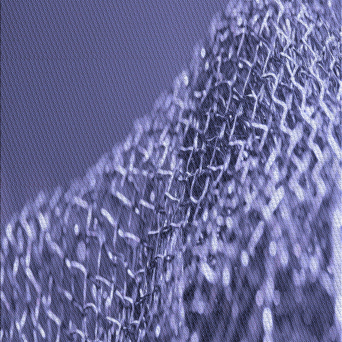 Machine Washable Transitional Purple Rug, wshpat114blu