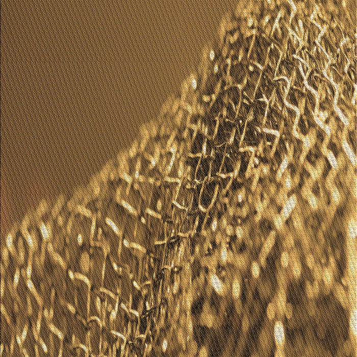 Machine Washable Transitional Dark Bronze Brown Rug, wshpat114brn