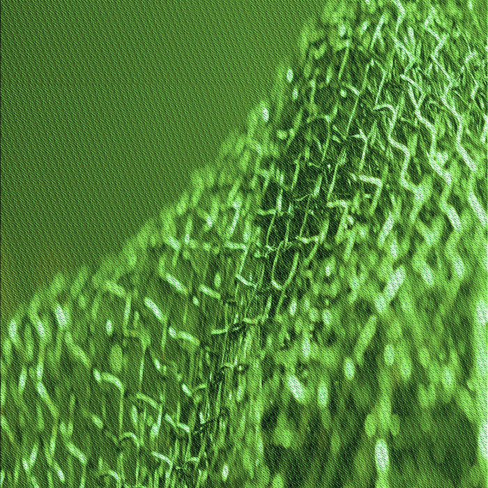 Machine Washable Transitional Deep Emerald Green Rug, wshpat114grn