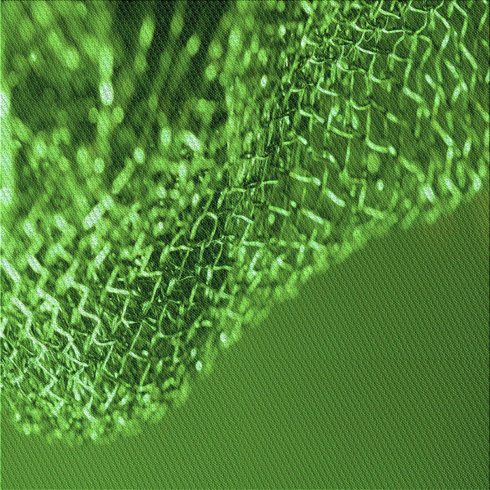 Round Machine Washable Transitional Deep Emerald Green Rug, wshpat114grn