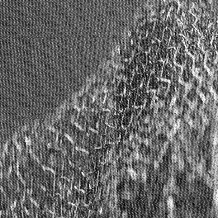 Machine Washable Transitional Gray Rug, wshpat114gry