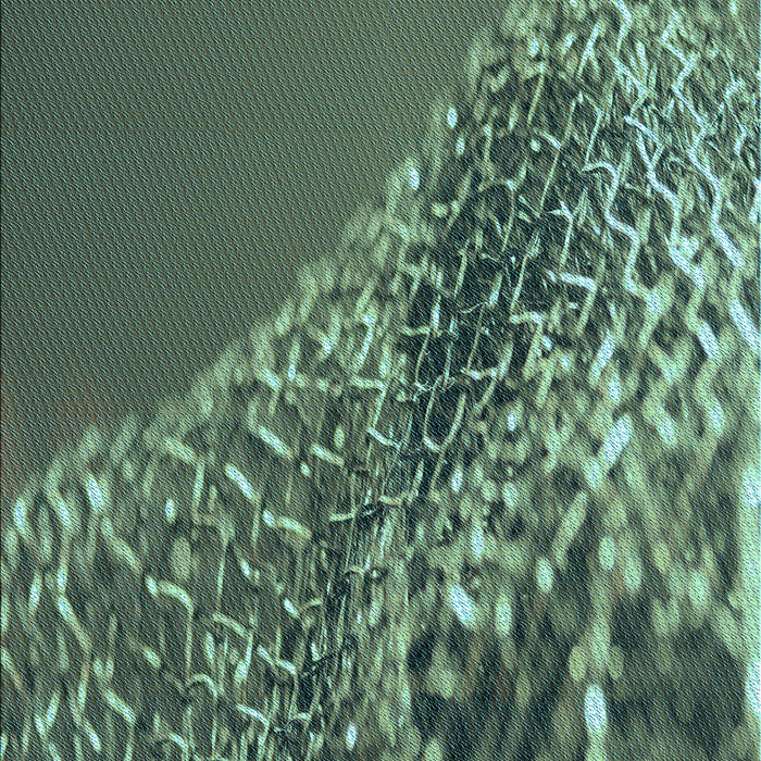 Patterned Medium Forest Green Rug, pat114lblu