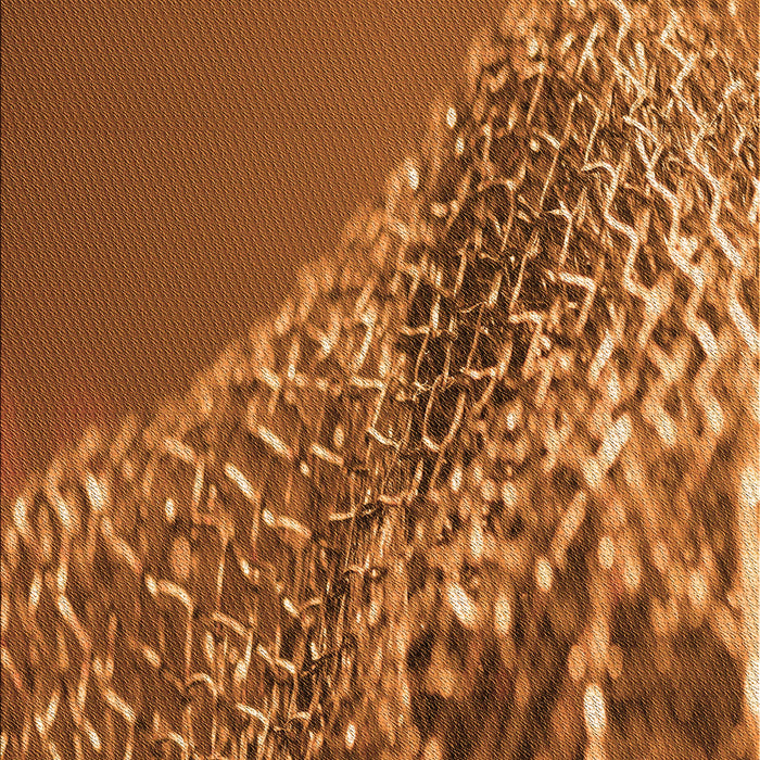 Machine Washable Transitional Tomato Red Rug, wshpat114org