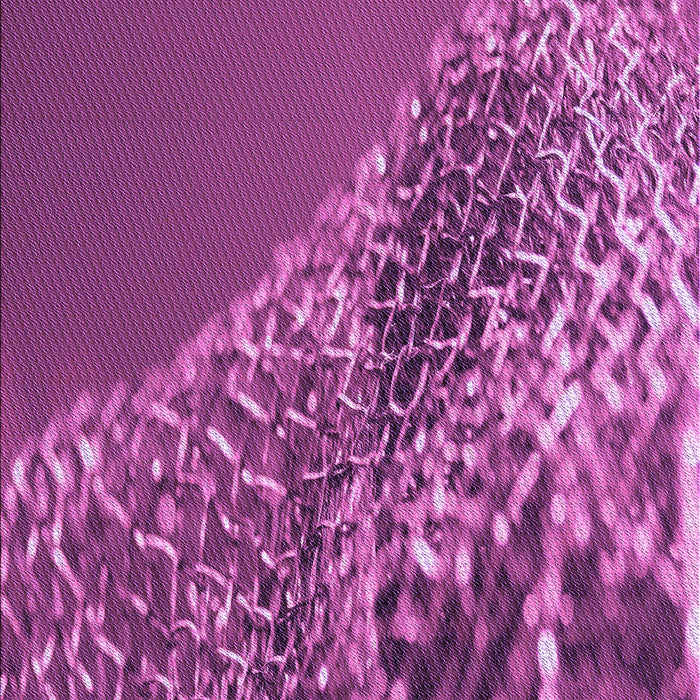 Machine Washable Transitional Medium Violet Red Pink Rug, wshpat114pur