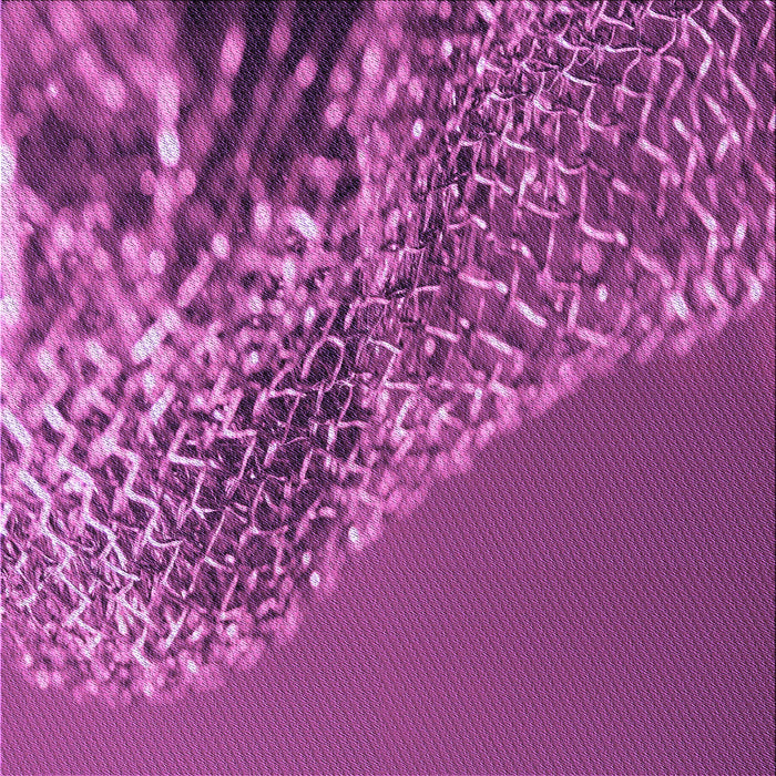 Round Machine Washable Transitional Medium Violet Red Pink Rug, wshpat114pur