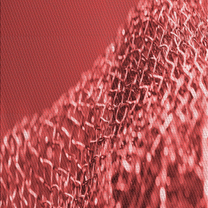 Patterned Red Rug, pat114rd