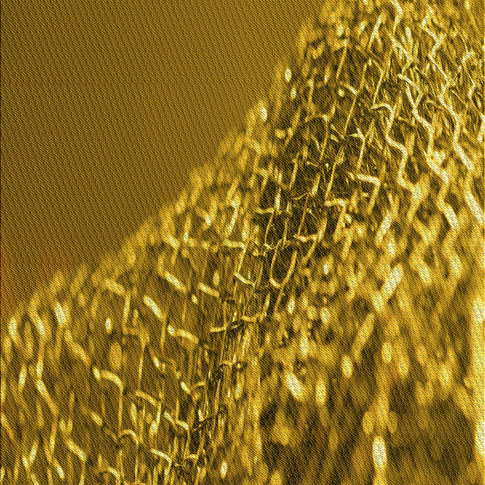 Patterned Dark Bronze Brown Rug, pat114yw