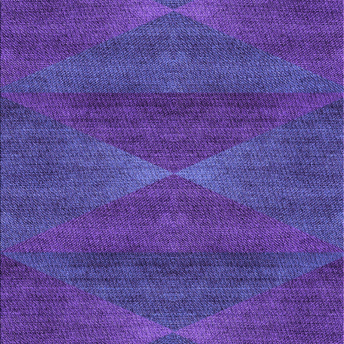 Machine Washable Transitional Purple Rug, wshpat1142pur