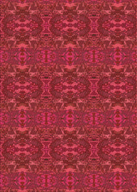 Machine Washable Transitional Red Rug, wshpat1148org