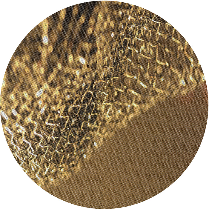 Square Machine Washable Transitional Peru Brown Rug, wshpat114