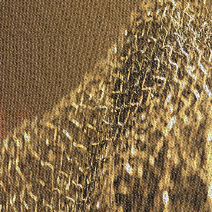 Patterned Brown Novelty Rug, pat114