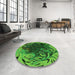 Round Patterned Deep Emerald Green Rug in a Office, pat115grn