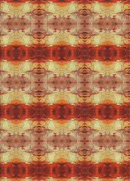 Patterned Orange Novelty Rug, pat1150