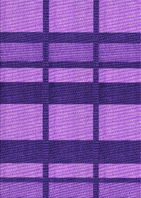 Machine Washable Transitional Amethyst Purple Rug, wshpat1151pur