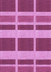 Machine Washable Transitional Violet Purple Rug, wshpat1158pur