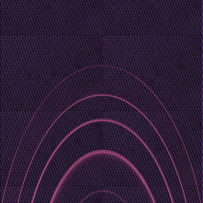 Machine Washable Transitional Black Rug, wshpat116pur