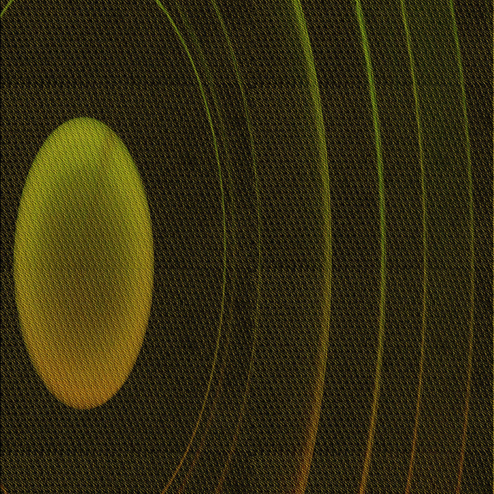 Machine Washable Transitional Black Rug, wshpat117yw