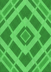 Machine Washable Transitional Neon Green Rug, wshpat1173grn