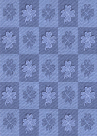 Machine Washable Transitional Sky Blue Rug, wshpat1174blu