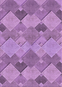 Machine Washable Transitional Orchid Purple Rug, wshpat1182pur