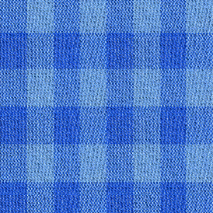 Patterned Blue Novelty Rug, pat1183