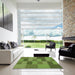 Square Patterned Seaweed Green Rug in a Living Room, pat1187grn