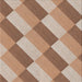 Sideview of Machine Washable Transitional Sienna Brown Rug, wshpat1192