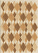 Machine Washable Transitional Brown Gold Rug, wshpat1193brn