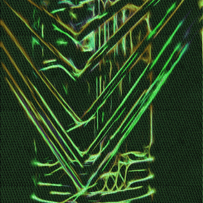 Machine Washable Transitional Black Rug, wshpat12grn