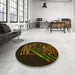 Round Patterned Dark Bronze Brown Rug in a Office, pat12yw