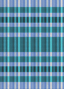 Patterned Blue Novelty Rug, pat1201