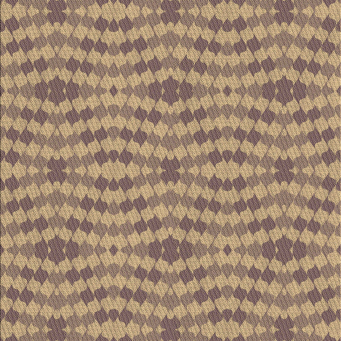 Machine Washable Transitional Brown Sand Brown Rug, wshpat1203brn