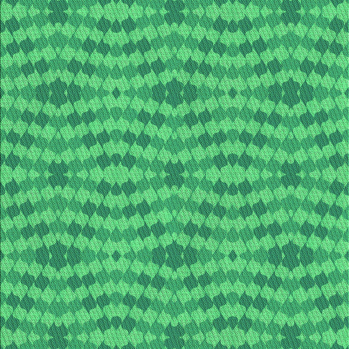 Machine Washable Transitional Spring Green Rug, wshpat1203grn