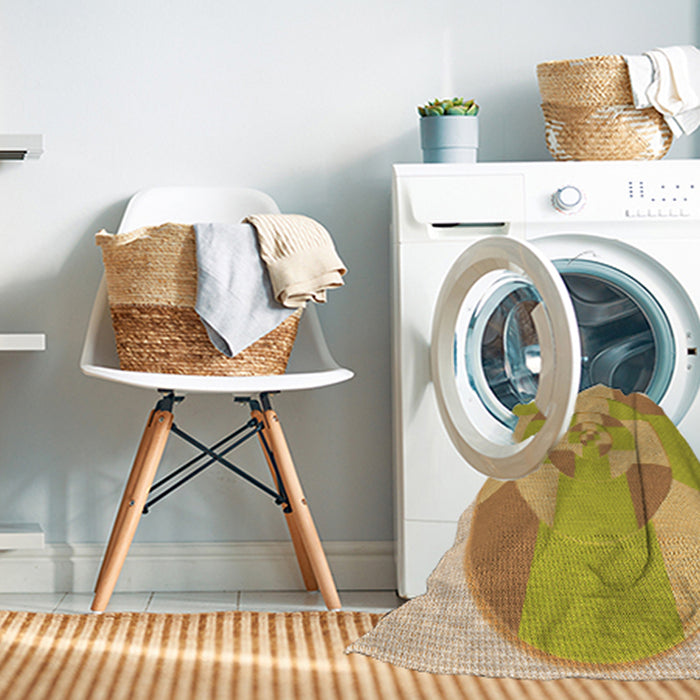 Machine Washable Transitional Caramel Brown Rug in a Washing Machine, wshpat1204org