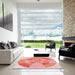 Machine Washable Transitional Pastel Pink Rug in a Kitchen, wshpat1204rd