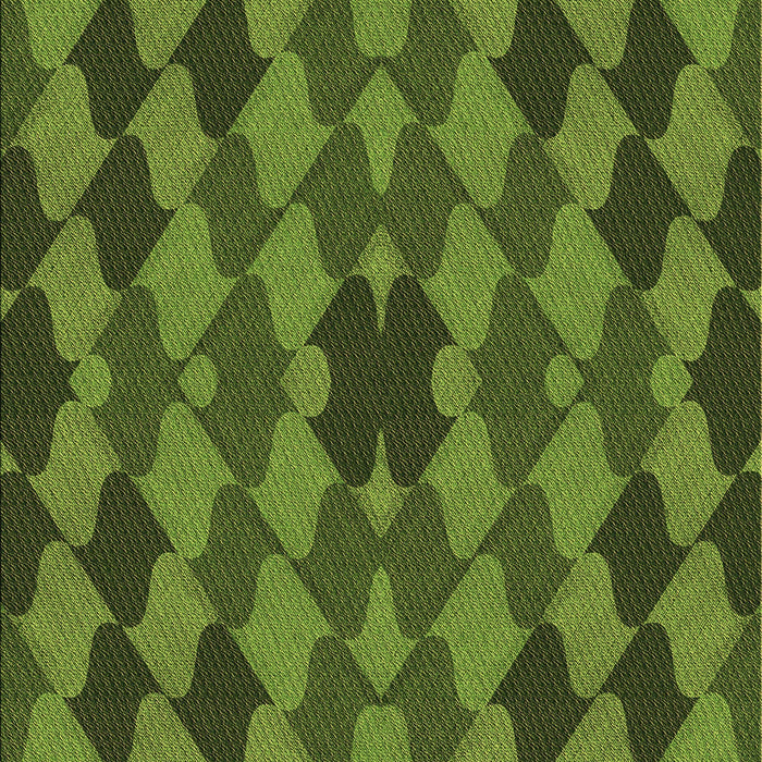 Machine Washable Transitional Dark Forest Green Rug, wshpat1207brn